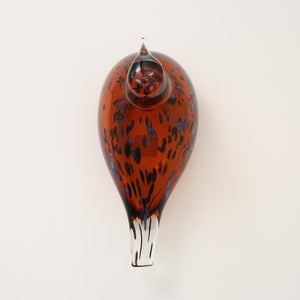 Birds Pekkasiini コッパーブラウン 0189