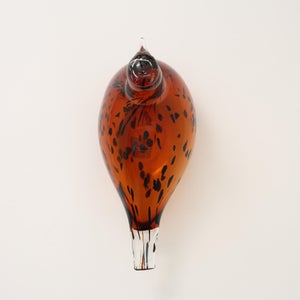 Birds Pekkasiini コッパーブラウン 0190