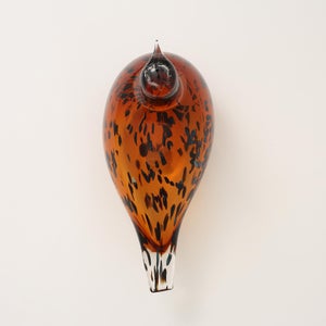 Birds Pekkasiini コッパーブラウン 0191