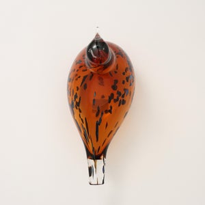 Birds Pekkasiini コッパーブラウン 0194