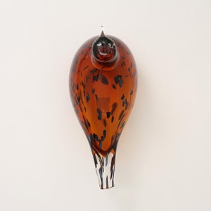 Birds Pekkasiini コッパーブラウン 0195