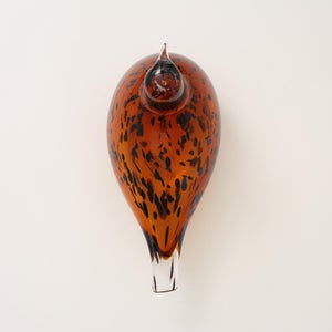 Birds Pekkasiini コッパーブラウン 0196