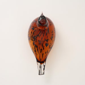 Birds Pekkasiini コッパーブラウン 0197