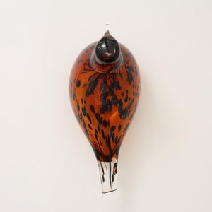 Birds Pekkasiini コッパーブラウン 0198