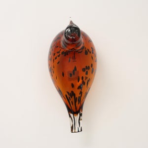 Birds Pekkasiini コッパーブラウン 0199