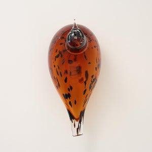 Birds Pekkasiini コッパーブラウン 0202