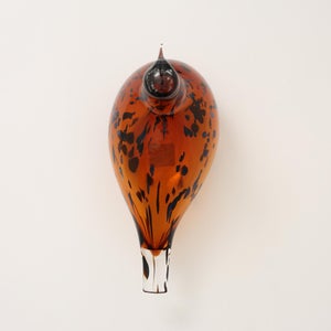 Birds Pekkasiini コッパーブラウン 0203