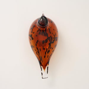 Birds Pekkasiini コッパーブラウン 0204