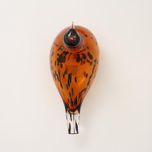 Birds Pekkasiini コッパーブラウン 0205