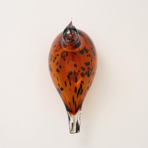 Birds Pekkasiini コッパーブラウン 0206