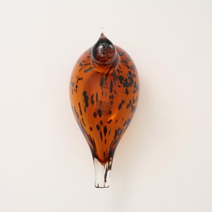 Birds Pekkasiini コッパーブラウン 0207