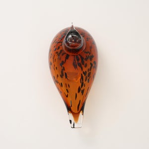 Birds Pekkasiini コッパーブラウン 0208