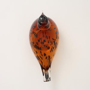 Birds Pekkasiini コッパーブラウン 0209