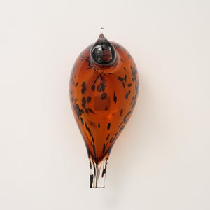 Birds Pekkasiini コッパーブラウン 0211