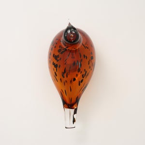 Birds Pekkasiini コッパーブラウン 0212