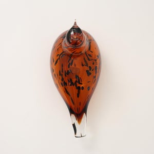 Birds Pekkasiini コッパーブラウン 0215