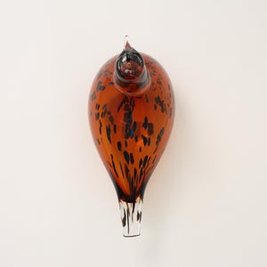 Birds Pekkasiini コッパーブラウン 0217