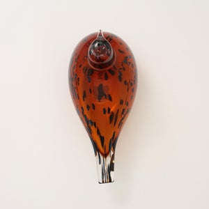 Birds Pekkasiini コッパーブラウン 0218