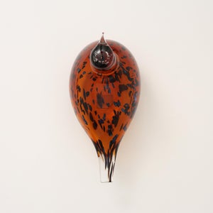 Birds Pekkasiini コッパーブラウン 0220