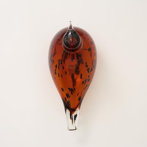 Birds Pekkasiini コッパーブラウン 0222