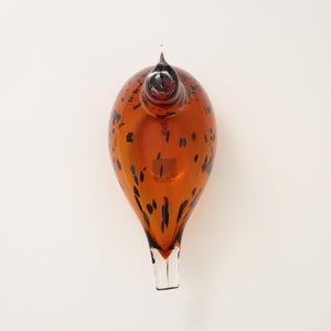 Birds Pekkasiini コッパーブラウン 0223