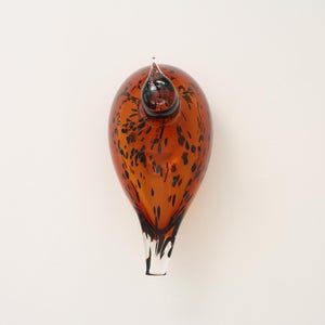 Birds Pekkasiini コッパーブラウン 0227