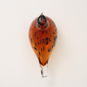 Birds Pekkasiini コッパーブラウン 0228