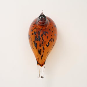 Birds Pekkasiini コッパーブラウン 0230