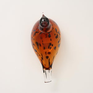 Birds Pekkasiini コッパーブラウン 0231