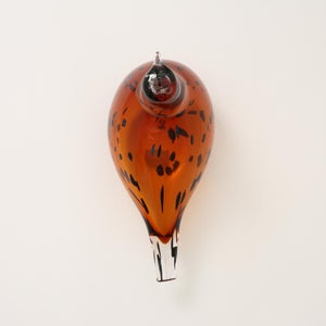 Birds Pekkasiini コッパーブラウン 0233