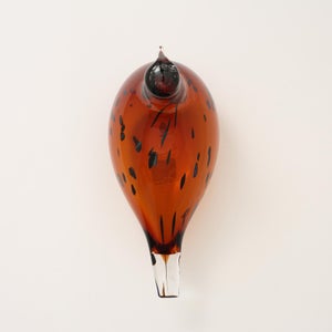 Birds Pekkasiini コッパーブラウン 0234