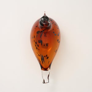 Birds Pekkasiini コッパーブラウン 0235