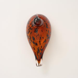 Birds Pekkasiini コッパーブラウン 0237