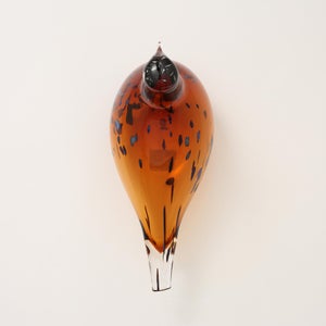 Birds Pekkasiini コッパーブラウン 0239