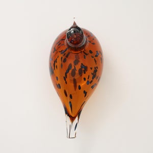 Birds Pekkasiini コッパーブラウン 0241