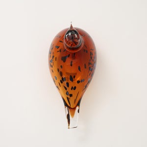 Birds Pekkasiini コッパーブラウン 0242