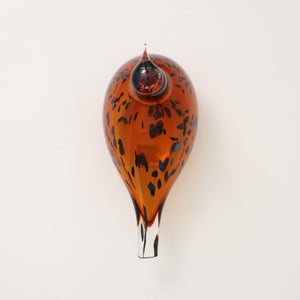 Birds Pekkasiini コッパーブラウン 0243