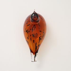 Birds Pekkasiini コッパーブラウン 0244