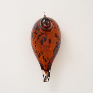 Birds Pekkasiini コッパーブラウン 0245