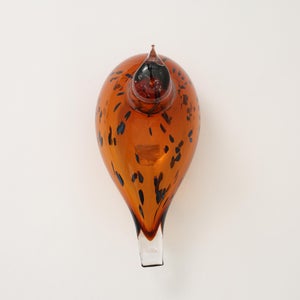 Birds Pekkasiini コッパーブラウン 0246