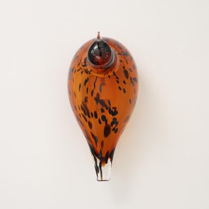 Birds Pekkasiini コッパーブラウン 0247