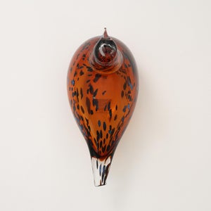 Birds Pekkasiini コッパーブラウン 0248