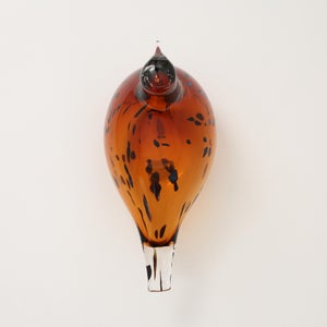 Birds Pekkasiini コッパーブラウン 0249