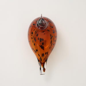 Birds Pekkasiini コッパーブラウン 0250