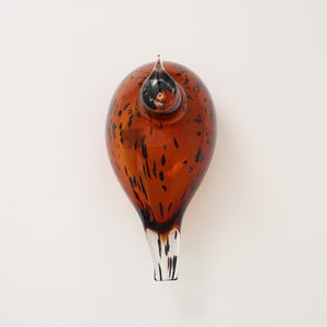 Birds Pekkasiini コッパーブラウン 0252