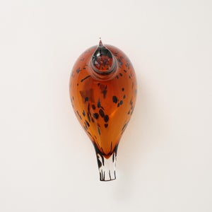 Birds Pekkasiini コッパーブラウン 0254