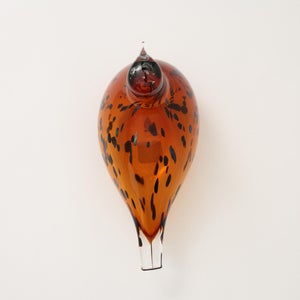 Birds Pekkasiini コッパーブラウン 0256