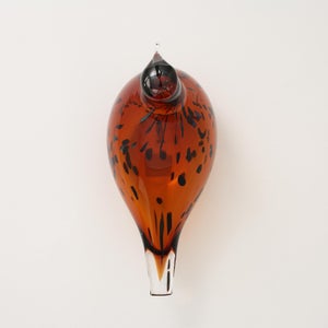 Birds Pekkasiini コッパーブラウン 0258