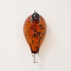 Birds Pekkasiini コッパーブラウン 0260