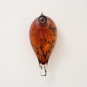 Birds Pekkasiini コッパーブラウン 0261